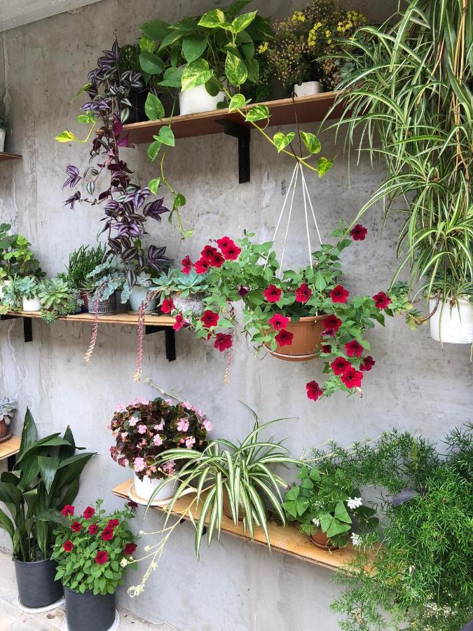 House Of Greenery Kutaisi Exterior foto