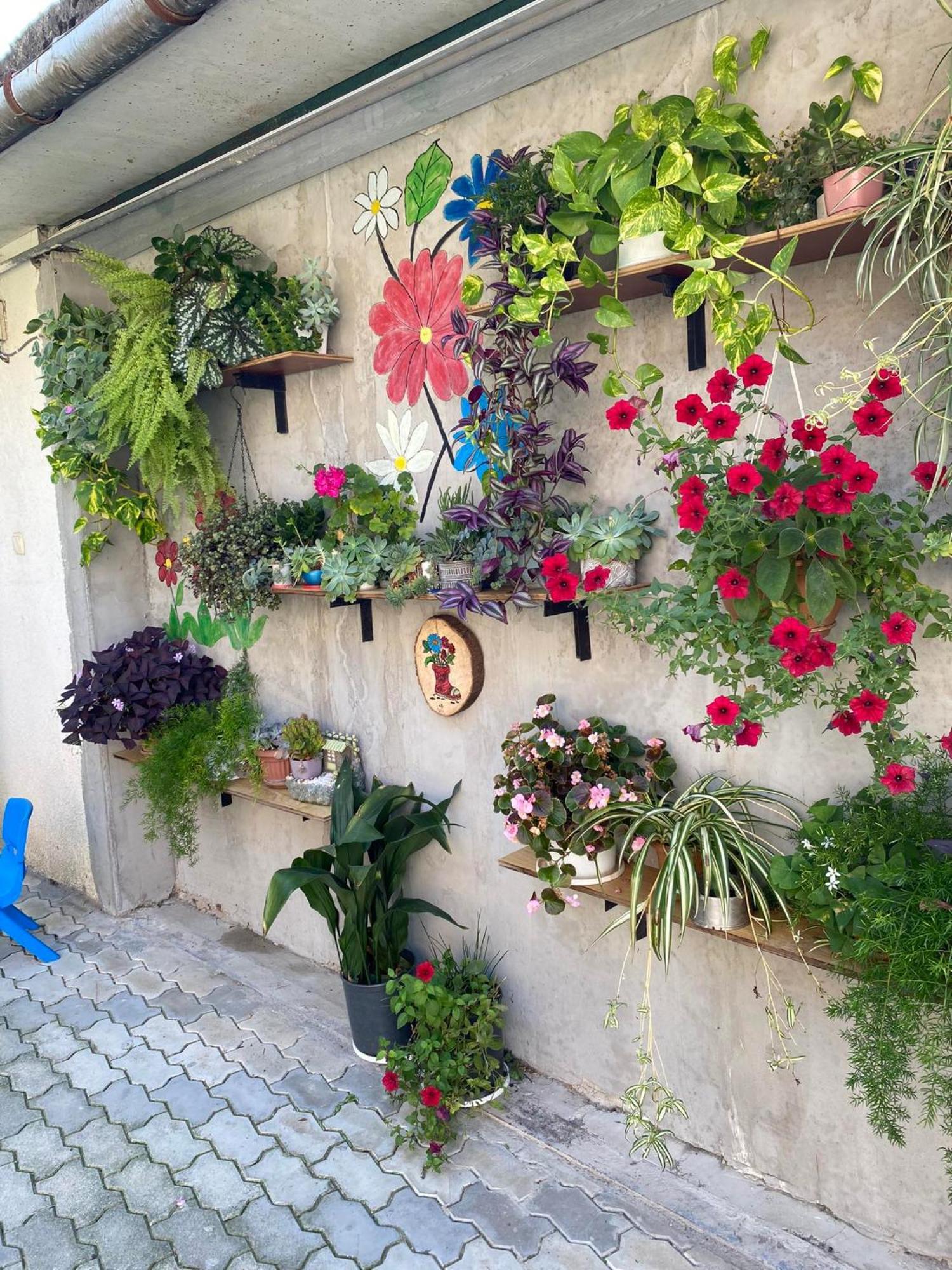 House Of Greenery Kutaisi Exterior foto